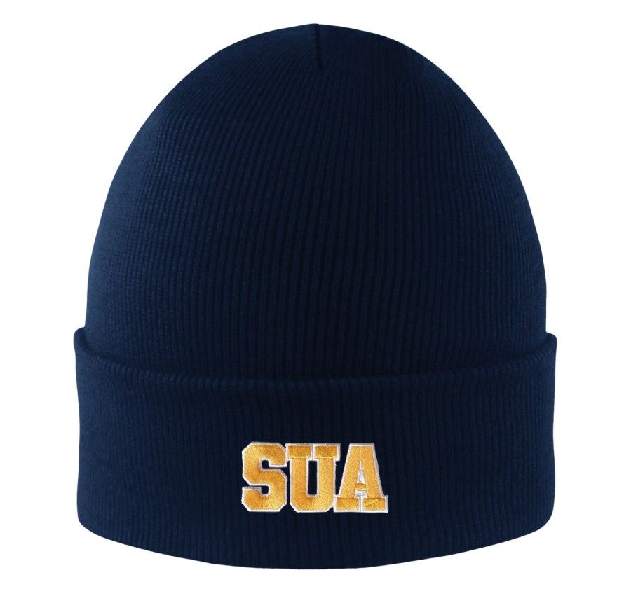 Navy Beanie