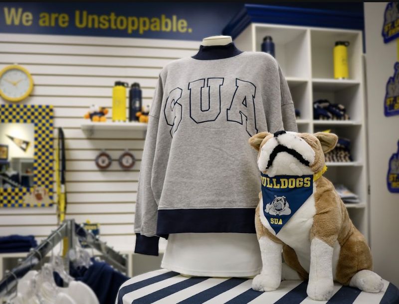 Tipped Mock Neck Sweatshirt