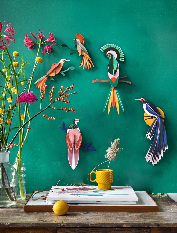 PARADISE BIRD, RANI - WALL DECORATION| PUZZLE