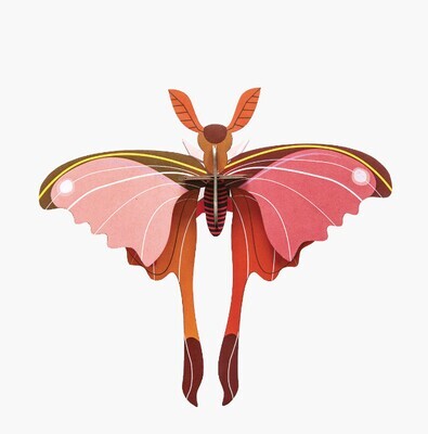 PINK COMET BUTTERFLY - WALL DECORATION