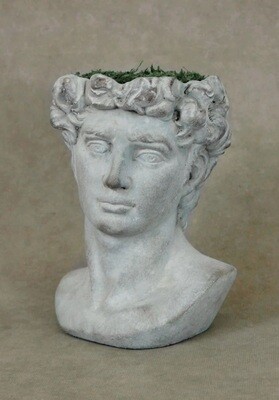 DAVID PLANTER