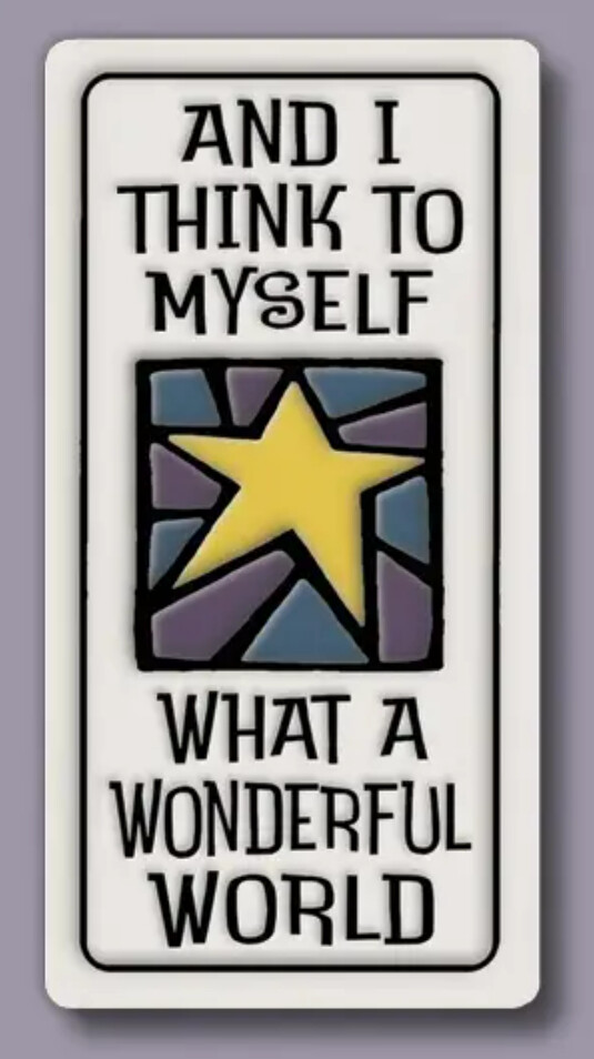 951 MAGNET WONDERFUL WORLD