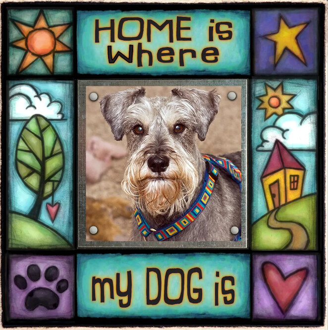 FRAME HOME IS WHERE DOG IS