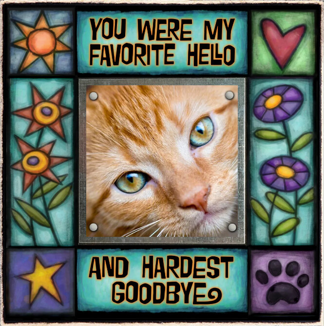 FRAME FAVORITE HELLO