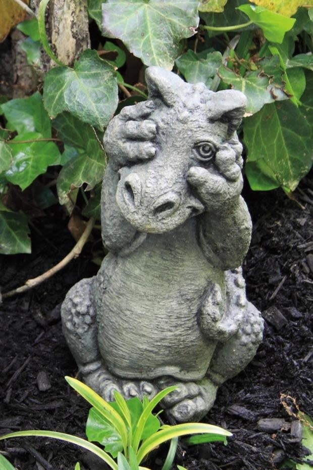 LIL DRAGON PEEK-A-BOO