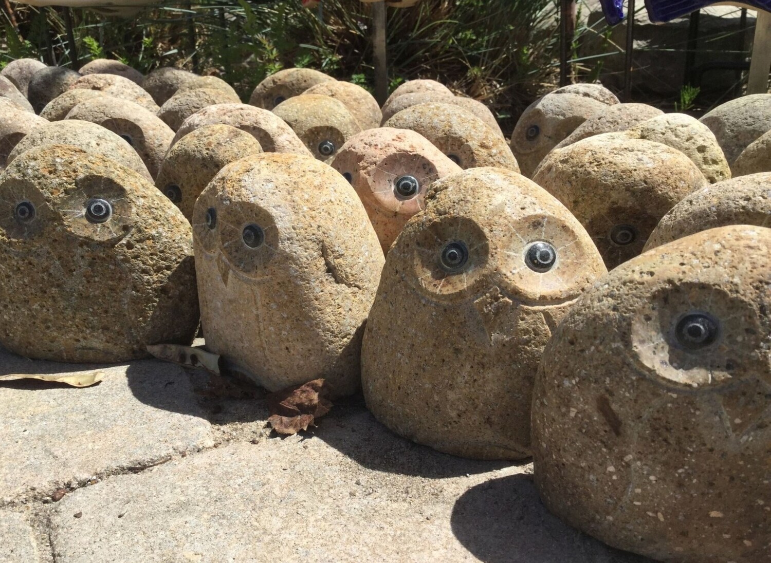 BOULDER OWL 4&quot;