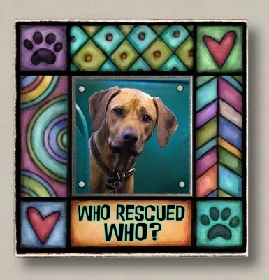 SAF15 FRAME WHO RESCUED WHO?