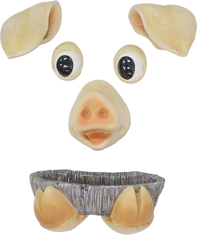 BIRDFEEDER TREE FACE PIG