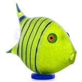 ANGELFISH, SMALL LIME GREEN