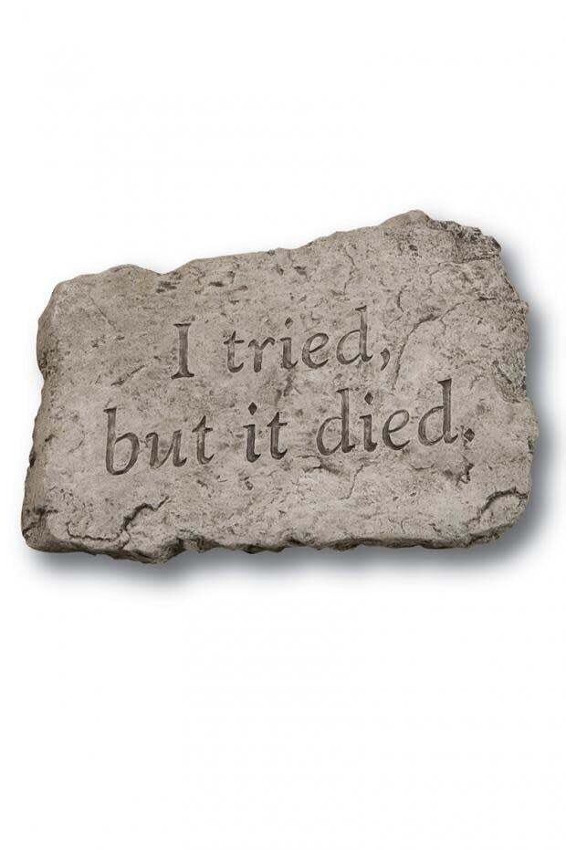 STEPPING STONE 10IN - I TRIED BUT IT DIED