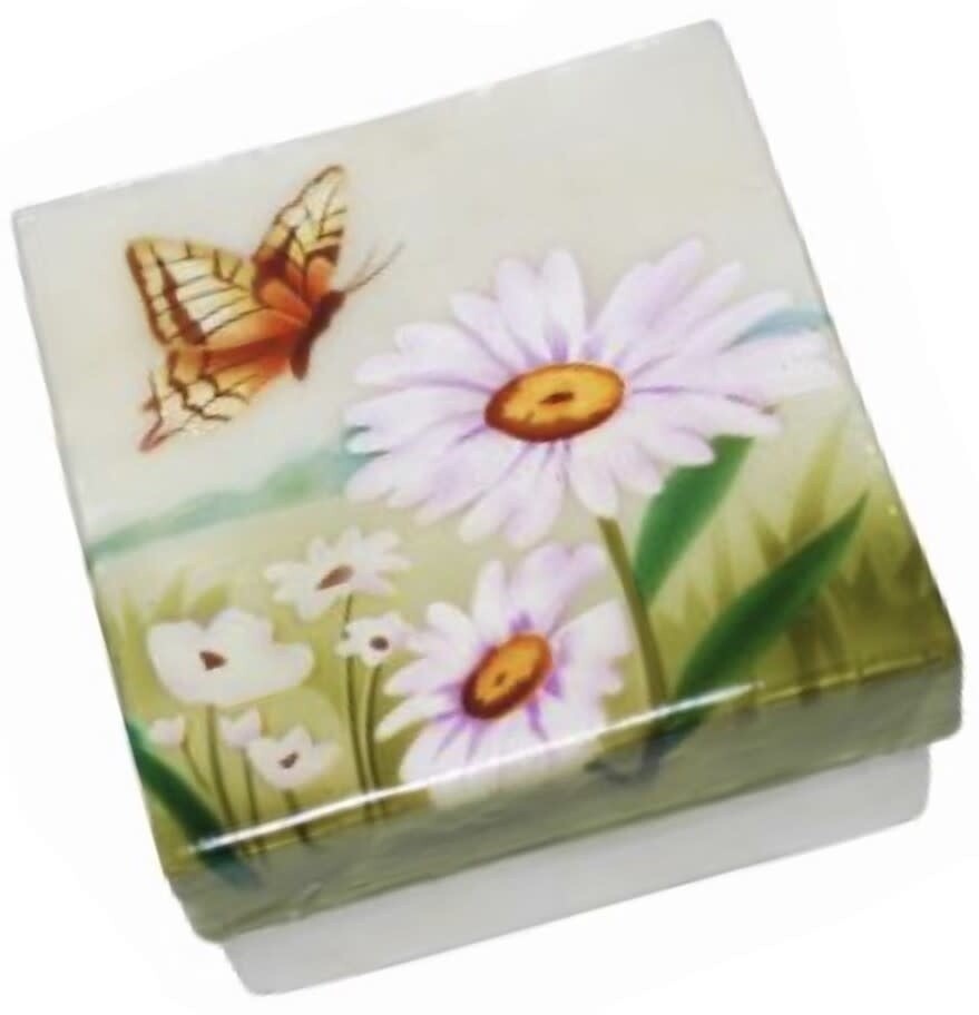 CAPIZ BOX BUTTERFLY DAISY (4&quot;X4&quot;)