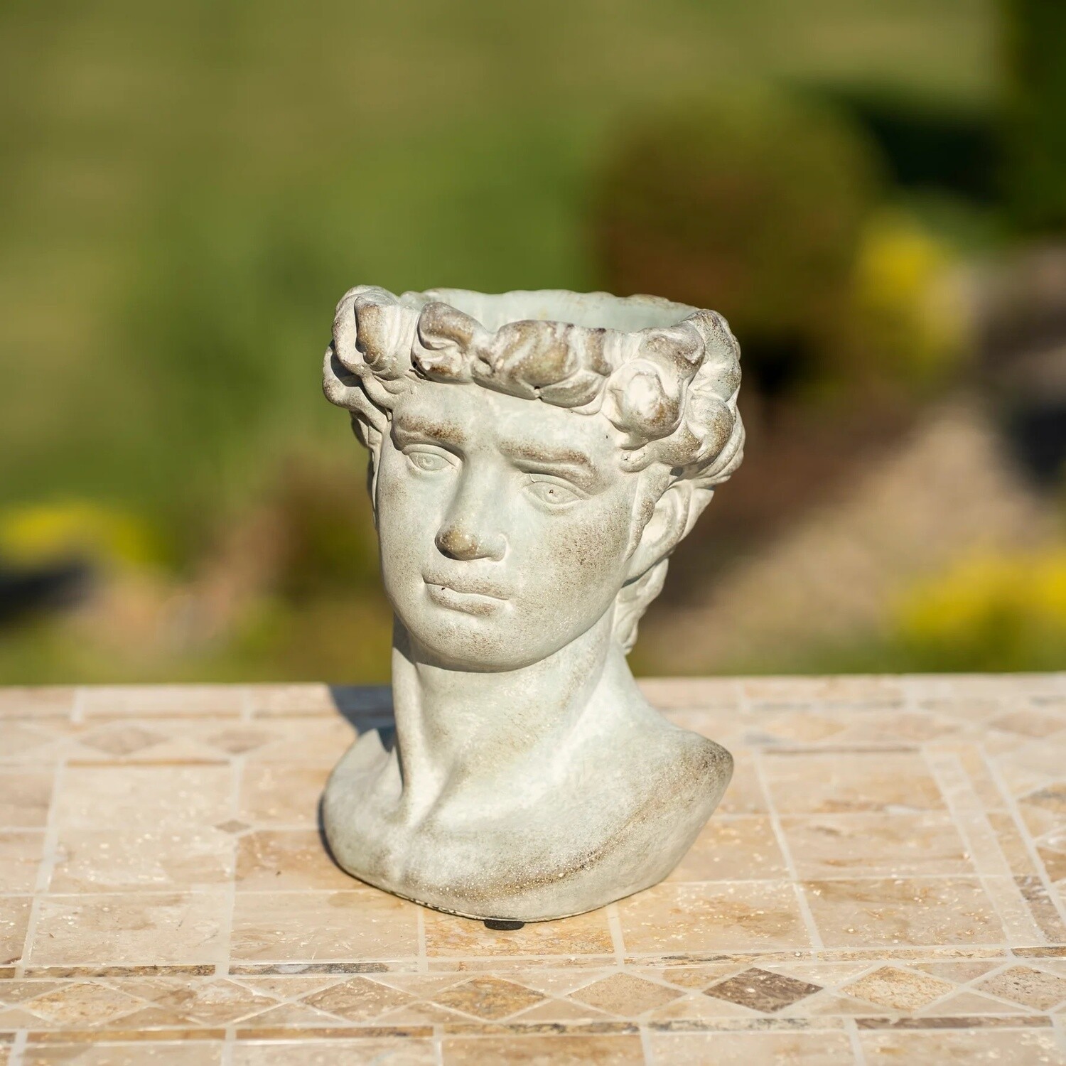 DAVID PLANTER