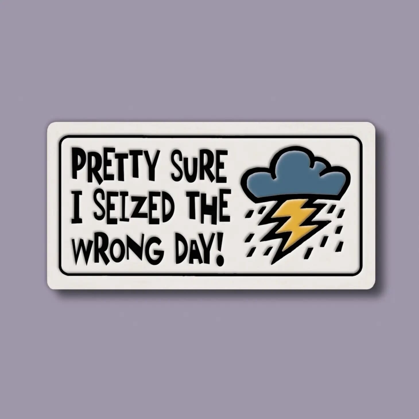 925 MAGNET - SEIZED THE WRONG DAY