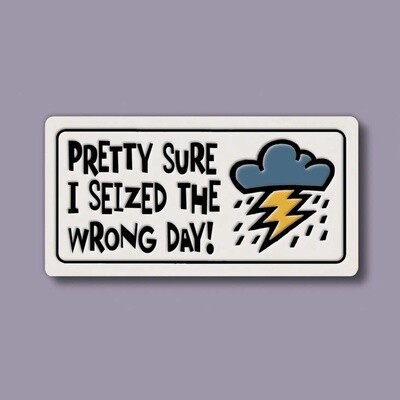 925 MAGNET - SEIZED THE WRONG DAY