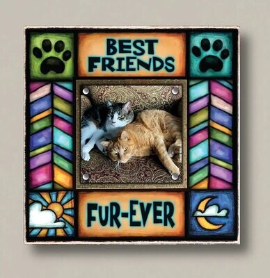 SAF25 FRAME FUR-EVER