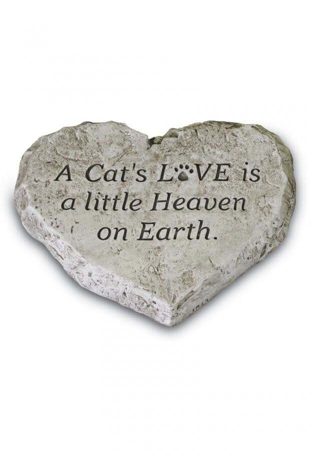 STEPPING STONE HEART - A CAT&#39;S LOVE...