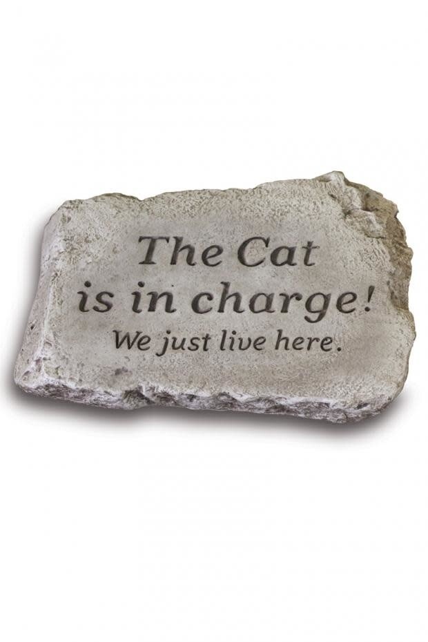 STEPPING STONE 10IN - THE CAT IS IN CHARGE