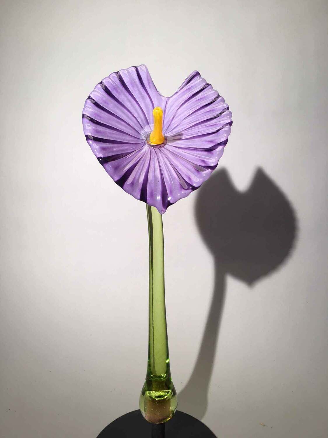 ANTHERIUM PURPLE GARDEN GLASS FLOWER