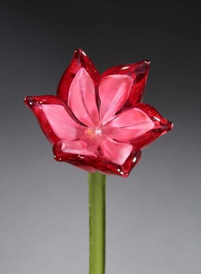 TULIP FLOWER RUBY/PINK
