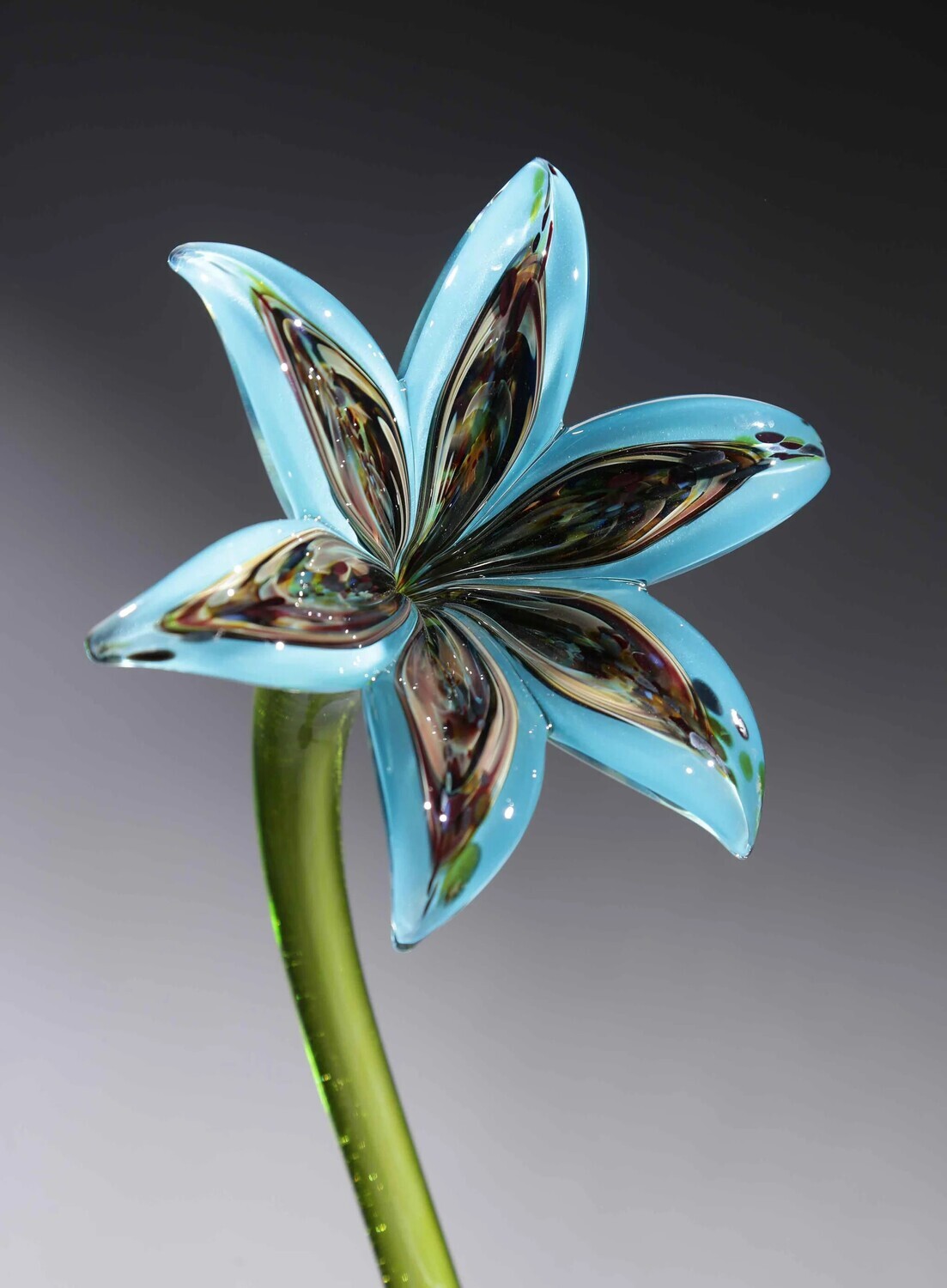GLASS LILY RAINBOW TURQUOISE