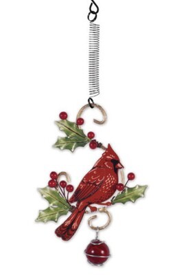CARDINAL W HOLLY BOUNCY