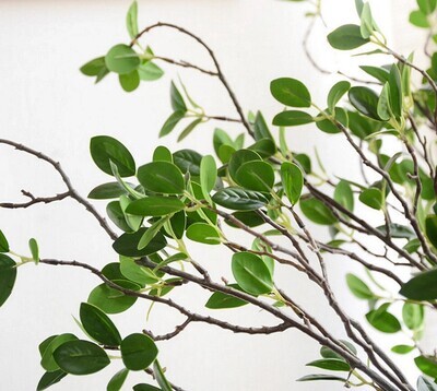 42"Quality Artificial Real Touch Aglaia Odorata Spray