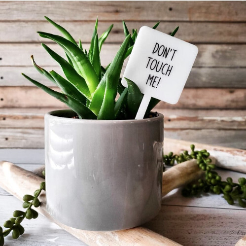 SNARKY PLANT STAKE, Style: DON&#39;T TOUCH ME!