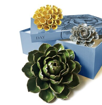 CORAL - MOFO CERAMIC WALL FLOWER - GREEN (DAY)