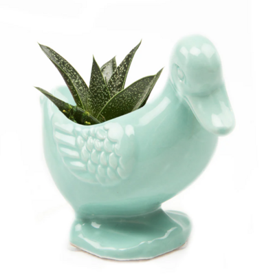 LUCY THE DUCK PLANTER