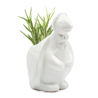 ETHEL TURTLE PLANTER