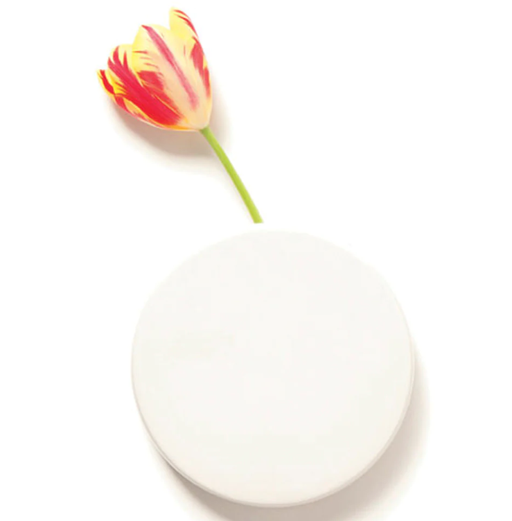 WALL DOT VASE