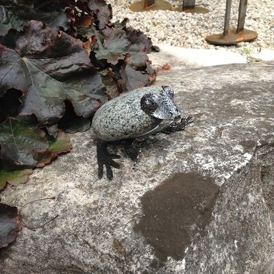 STONE FROG MINI