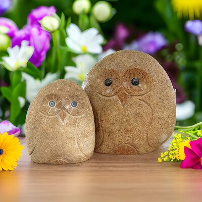 BOULDER OWL 6&quot;