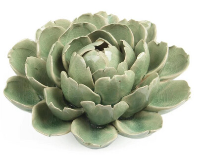 CORAL - MOFO CERAMIC WALL FLOWER - GREEN (DAY)