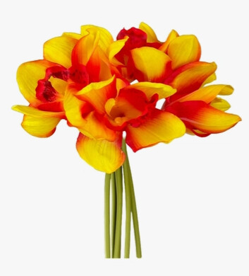 REAL TOUCH FAUX CYMBIDIUM ORCHID BUNDLE - SUNSET ORANGE