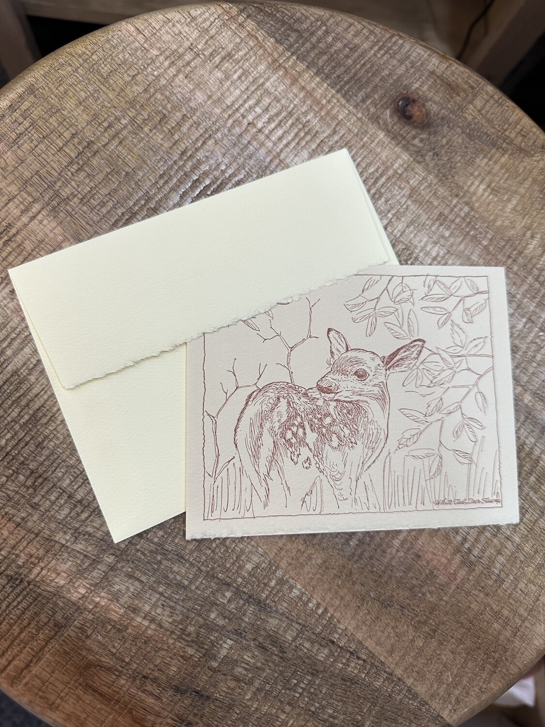 Letterpress Notecard WHITE TAIL DEER FAWN