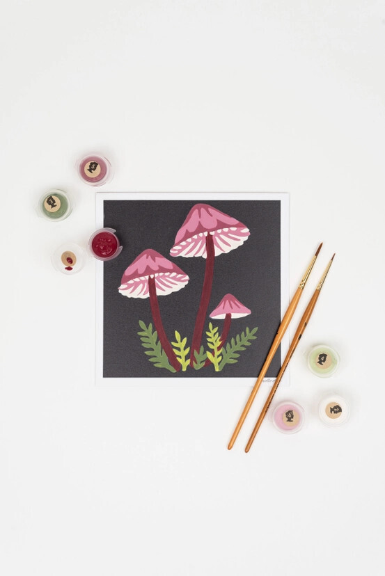 MINI PAINT-BY-NUMBER KIT - BLEEDING FAIRY HELMET MUSHROOMS