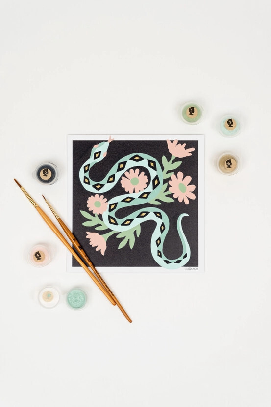 MINI PAINT-BY-NUMBER KIT - SNAKE