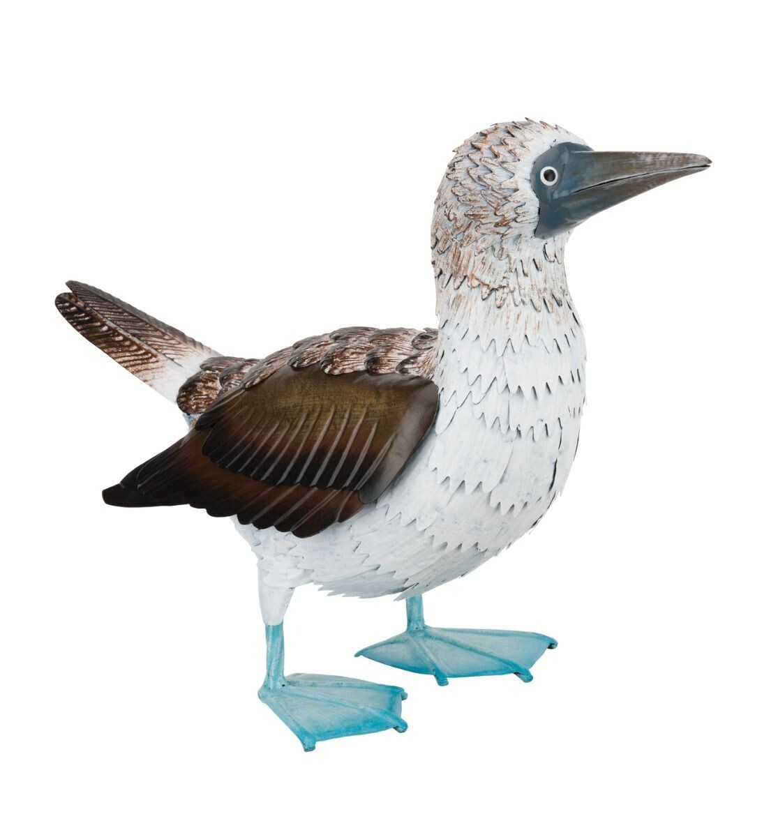 Blue Footed Booby