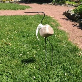 BIRD SM FRANCIS - HERON