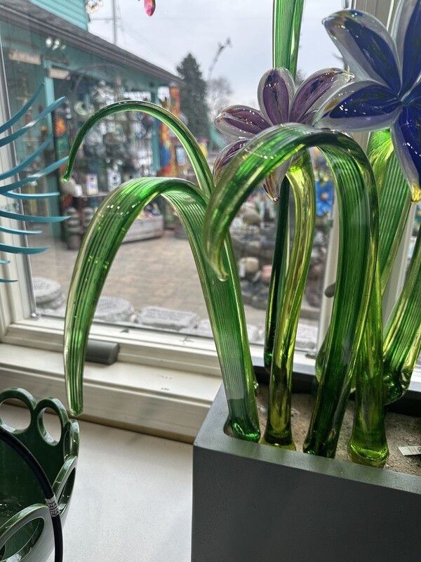 FLOWER LEAF CURLED