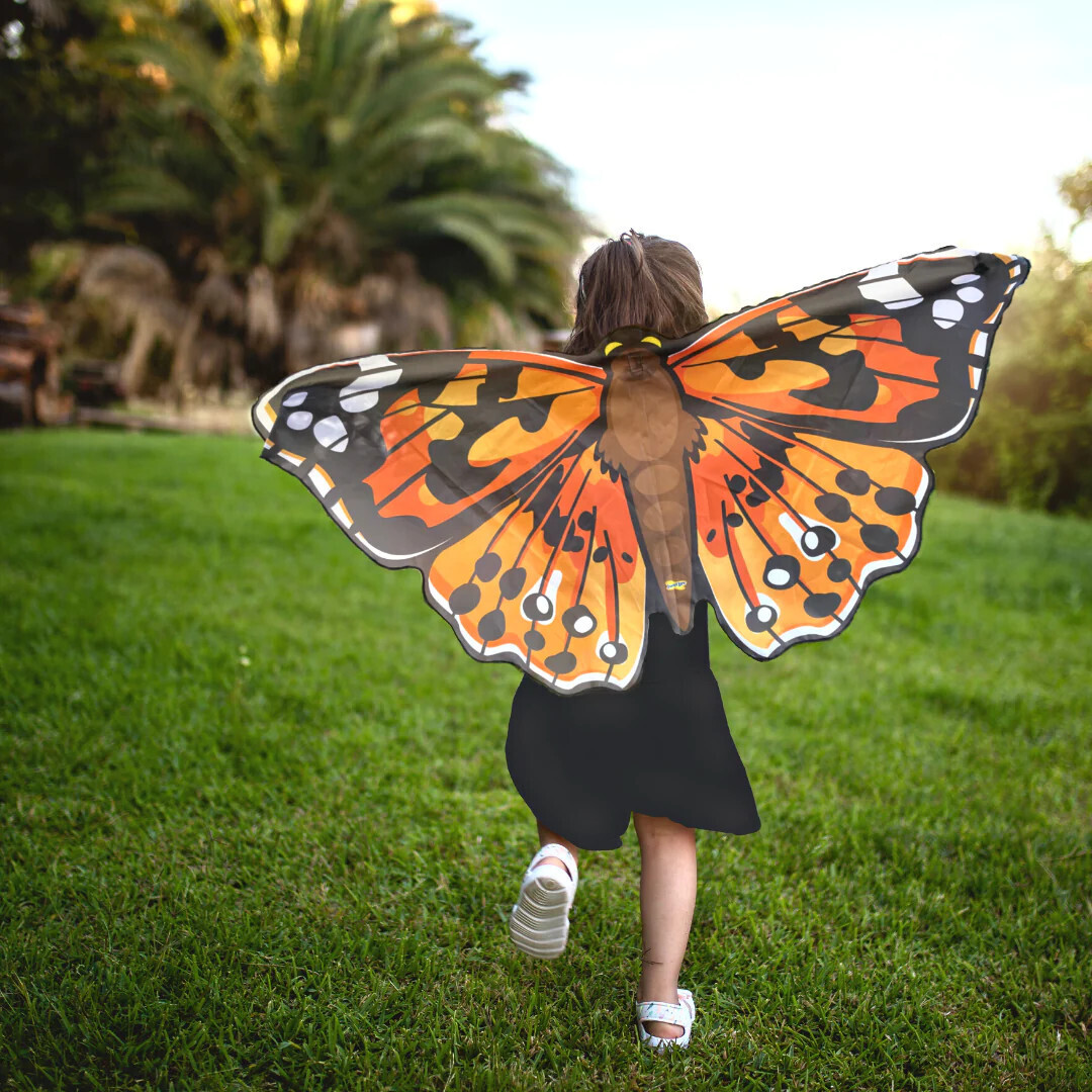 PAINTED LADY BUTTERFLY WINGS