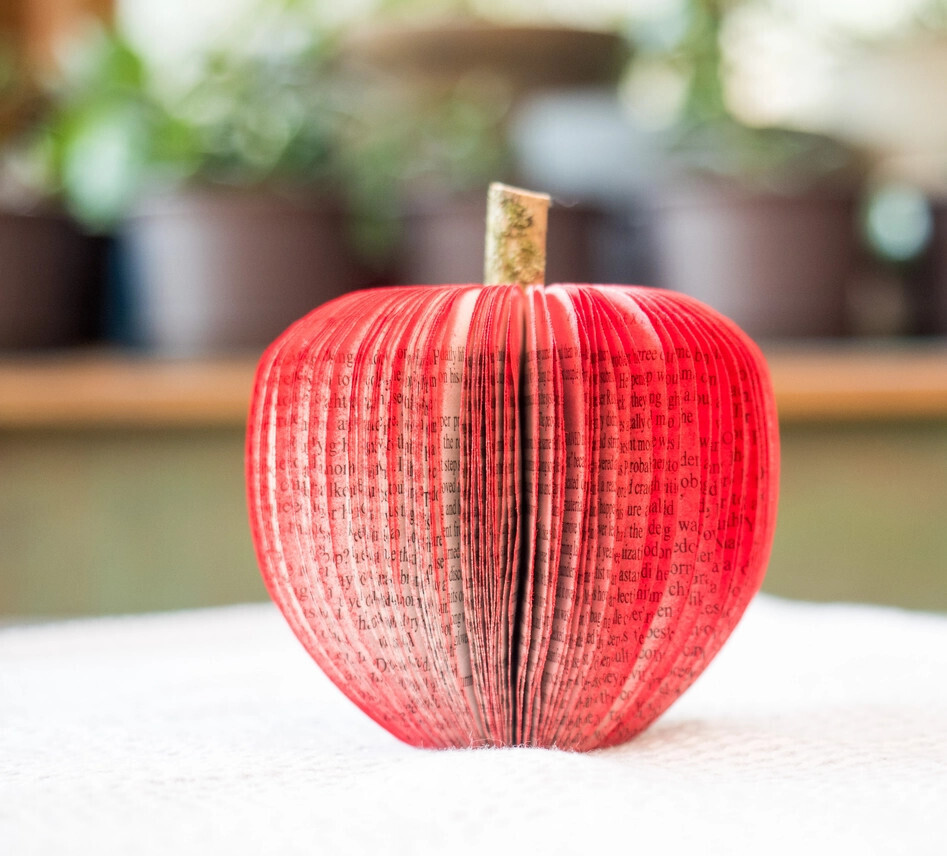 BOOK APPLE - RED