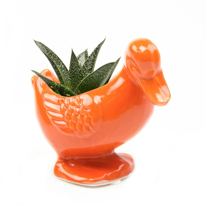 LUCY THE DUCK PLANTER, Color: ORANGE