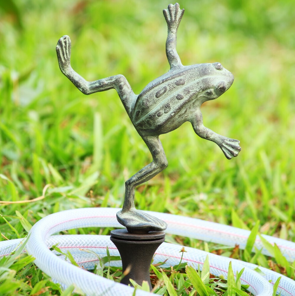 HOSE GUARD - DANCING FROG