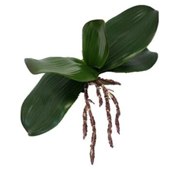 ARTIFICIAL PHALAENOPSIS