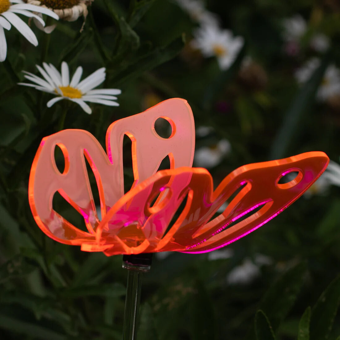 ACRYLIC BUTTERFLY STAKE - 36&quot; TALL - PINK