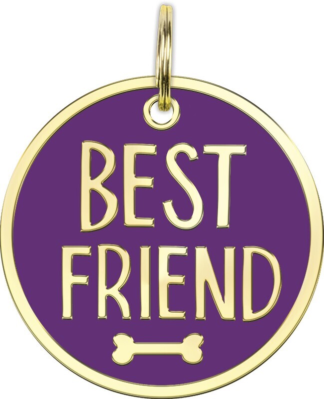 DOG COLLAR CHARM - BEST FRIEND