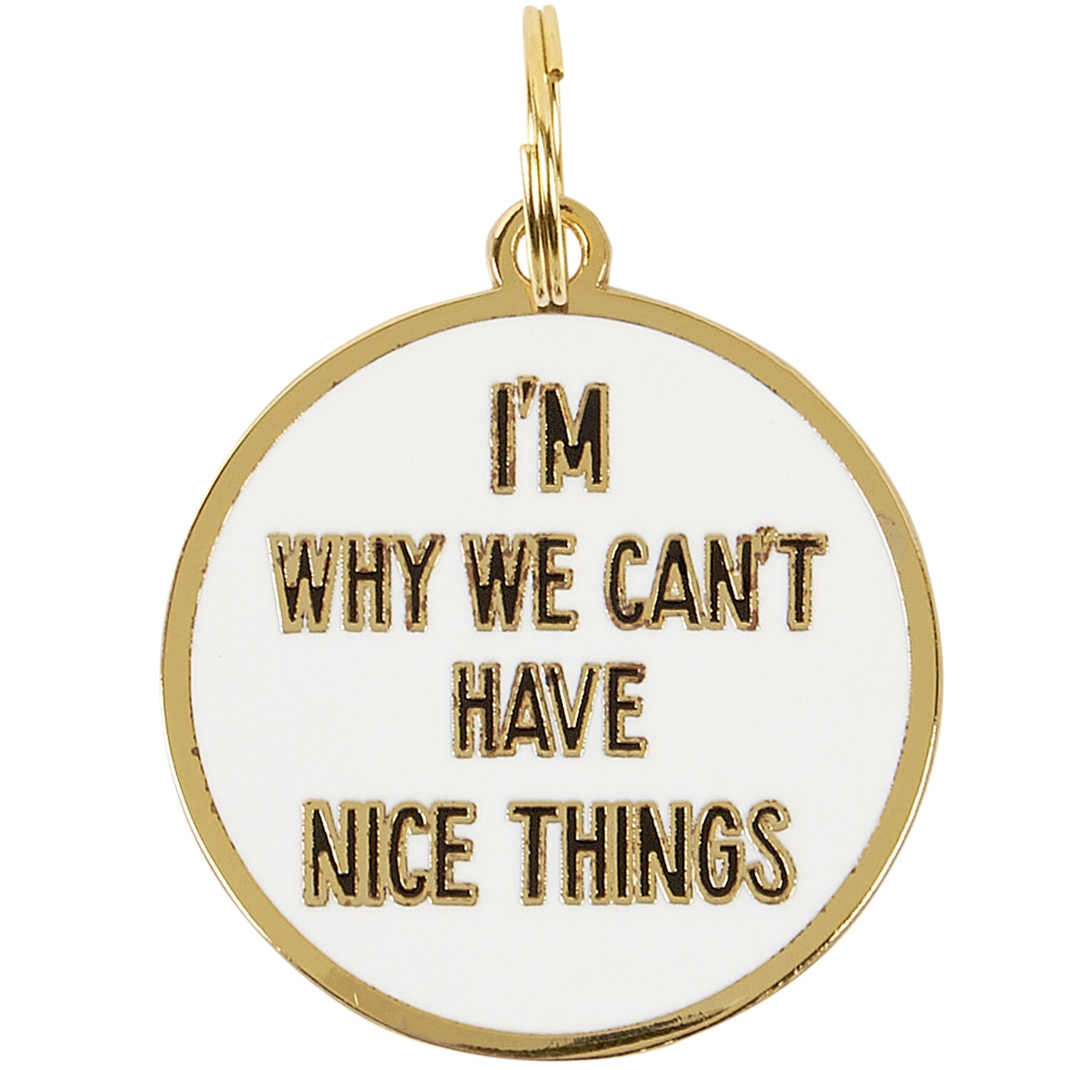 DOG COLLAR CHARM - NICE THINGS