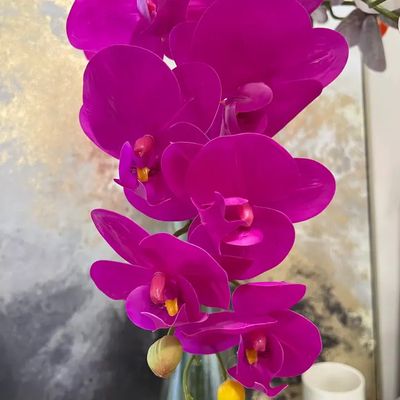 36&quot; PHALAENOPSIS ORCHID STEM - FUCHSIA